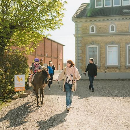 Buedlfarm - Der Familien-Erlebnishof In Strandnaehe Фемарн Экстерьер фото