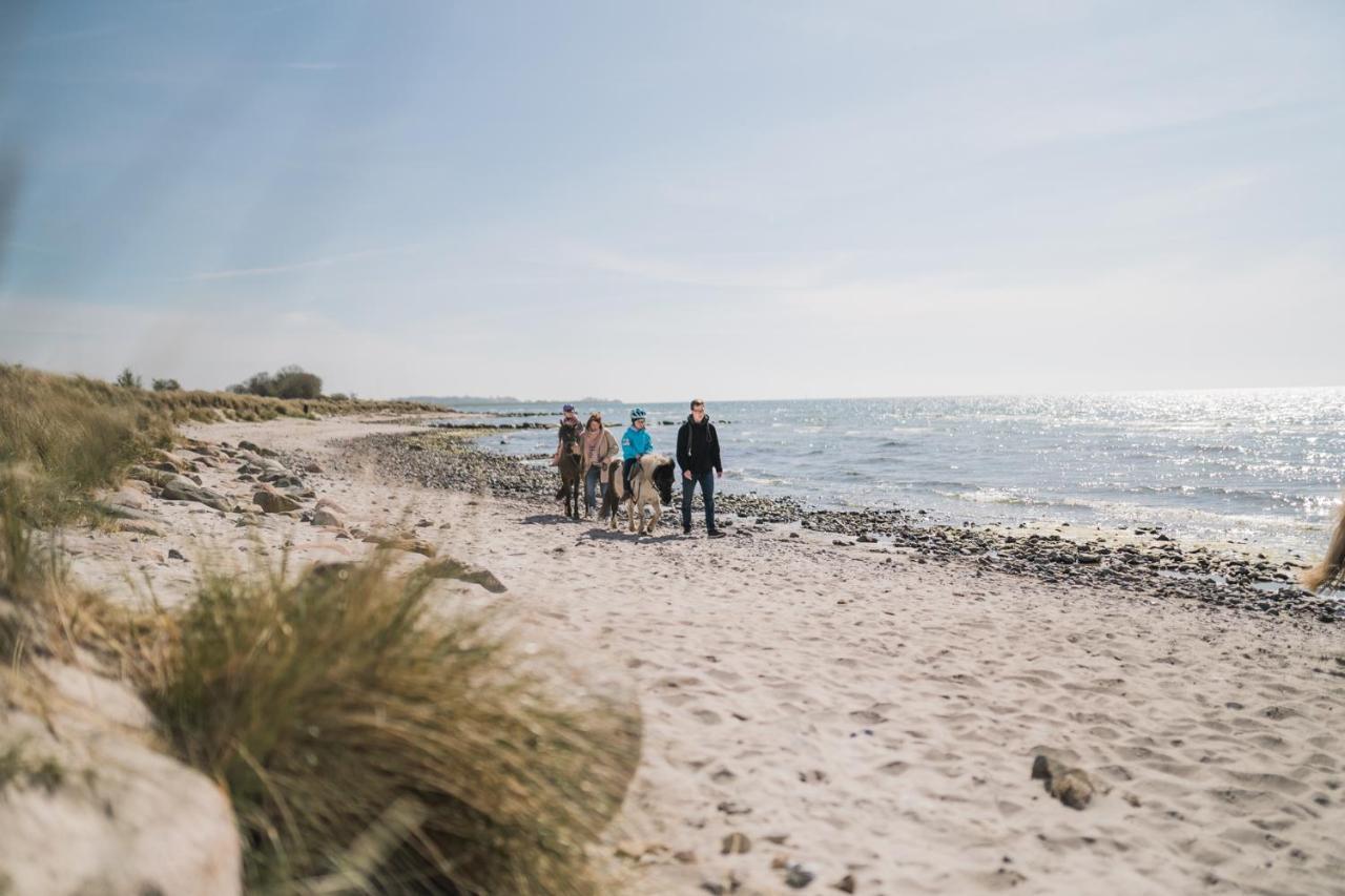 Buedlfarm - Der Familien-Erlebnishof In Strandnaehe Фемарн Экстерьер фото