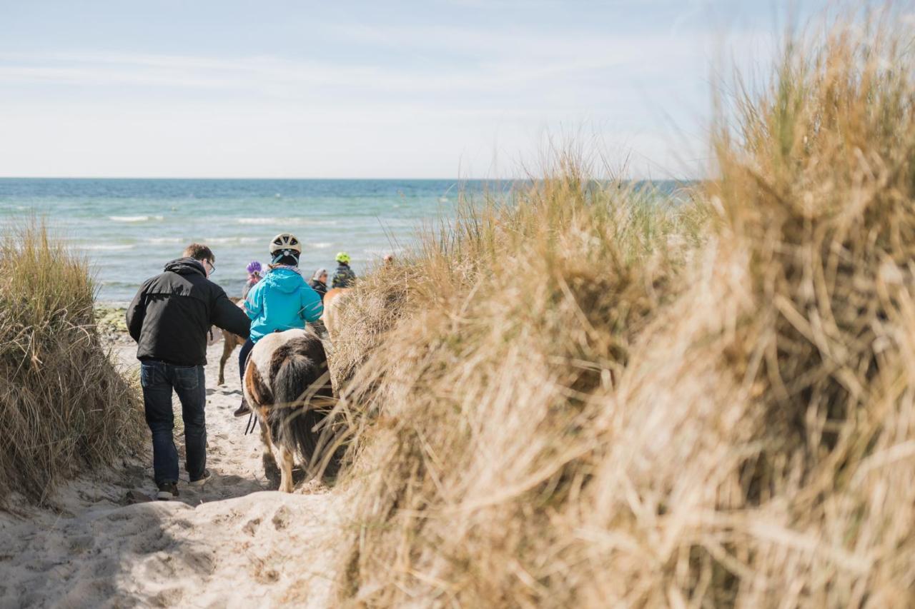 Buedlfarm - Der Familien-Erlebnishof In Strandnaehe Фемарн Экстерьер фото