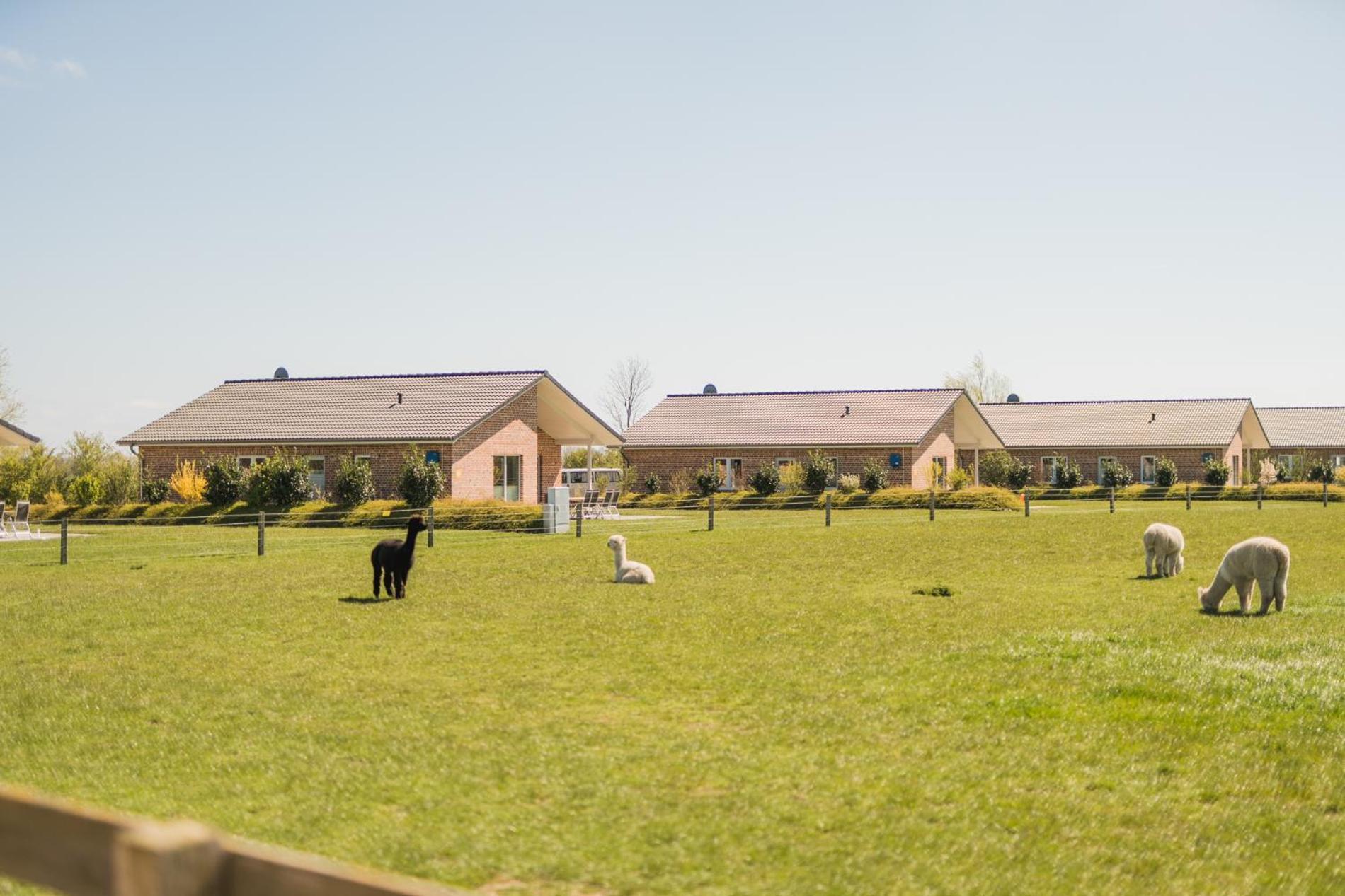 Buedlfarm - Der Familien-Erlebnishof In Strandnaehe Фемарн Экстерьер фото