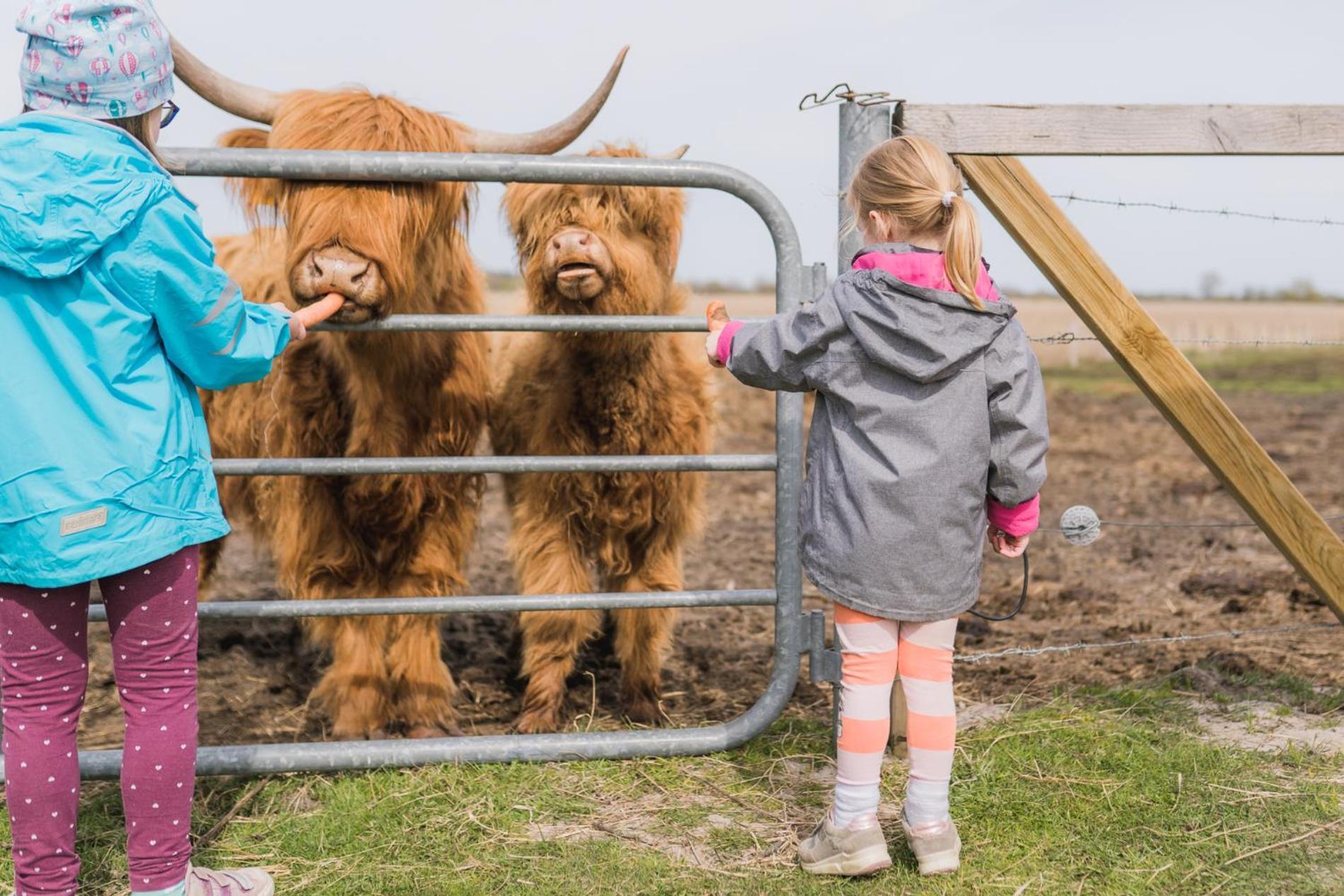 Buedlfarm - Der Familien-Erlebnishof In Strandnaehe Фемарн Экстерьер фото